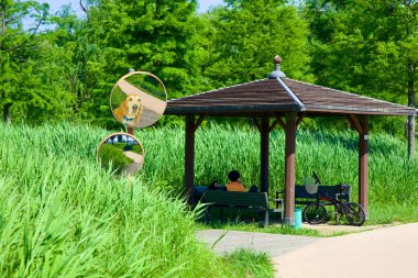 İlgi çekici bir sanat enstalasyonunda, bir kadının oturduğu, yansıma ve gerçekliğin büyüleyici bir karışımı olan, küçük bir köşk aynasında köpekler bulunur..