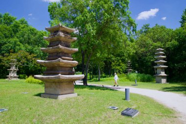 Kore Ulusal Müzesi 'nin parkında yürüyüş yolunda yürüyen bir ziyaretçi, eski pagodaların sessizce yol kenarında durduğu huzurlu ortamın tadını çıkarıyor..