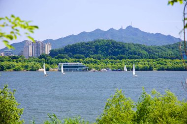 Banpo Park 'taki nehir limanının bu manzarası, Han Nehri' ndeki yelkenli tekneleriyle, güzel çerçevelenmiş dallarla, kentsel bir arka planla yan yana duran doğayla..