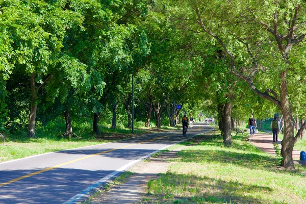 Seul, Güney Kore - 3 Haziran 2023: Bir bisikletçi Mangwon Hangang Parkı 'ndaki ağaçlık bisiklet yolu boyunca seyahat ediyor, yayalarla dolu ayrı bir yürüyüş yolu var..