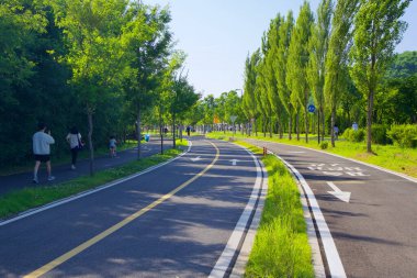 Seul, Güney Kore - 3 Haziran 2023 Nanji Hangang Parkı 'nda yeşil ağaçlarla çevrili, yeşil çimenli mavi bir gökyüzünün altında yürüme yolları bulunan hızlı ve yavaş şeritli bir bisiklet yolu..