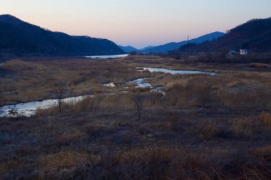 Yeoju Şehri, Güney Kore - 20 Şubat 2020: Günbatımı sonrası renkler Güney Han Nehri 'ne akan bir akarsu banyosu yaparak sakin alacakaranlık atmosferini yakalıyor..