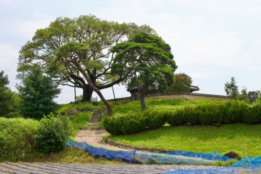 Nakdong, Güney Kore - 12 Ağustos 2023: Samsu Pavyonu, 1420 'de tamamlanmış tarihi bir yapı, Nakdong' un güney kıyısındaki bir tepenin üzerinde, 600 yıllık bir selvi ağacının gölgesinde, son yerini alıyor..