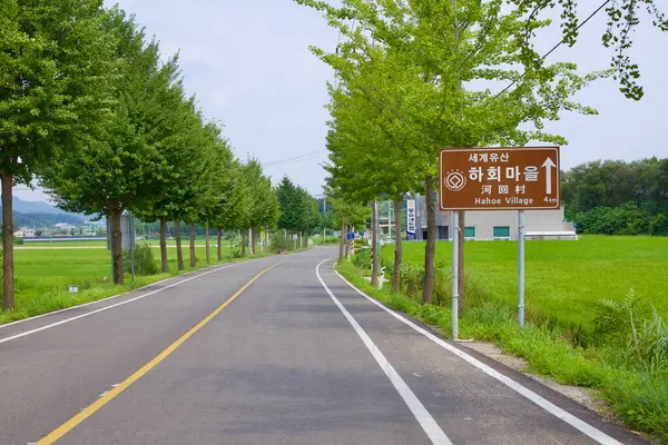 Andong City Jižní Korea Srpna 2023 Klidná Dvouproudá Stromy Lemovaná — Stock fotografie