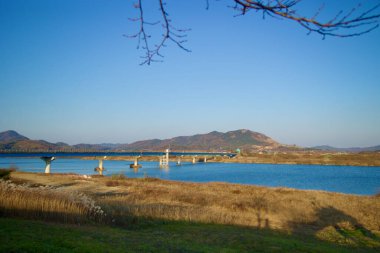 Sangju Şehri, Güney Kore - 18 Kasım 2023: Nakdong Nehri 'ni kapsayan Sangpung Köprüsü' nün manzarası, önplandaki dallar ve arka plandaki uzak tepeler tarafından çerçevelenmiş, ahenkli bir nehir kenarı manzarası yaratıyor..