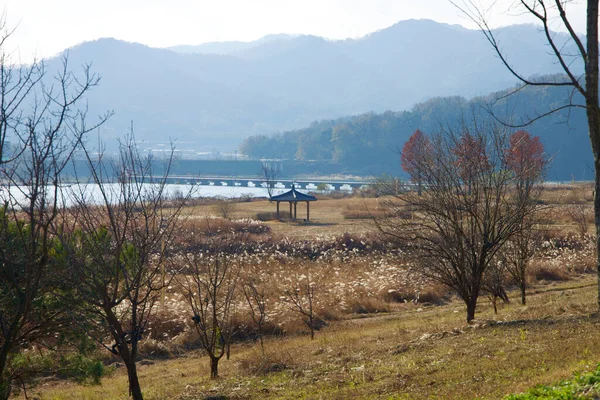 Město Sangju Jižní Korea Listopadu 2023 Malebný Pavilon Uhnízděný Poli — Stock fotografie