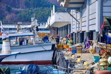 Samcheok City, Güney Kore - 28 Aralık 2023: İşçiler Imwon Limanı 'nda aktif olarak bir tekneyi boşaltarak liman ve yerel balıkçılık endüstrisinin dinamik atmosferini yakaladılar.