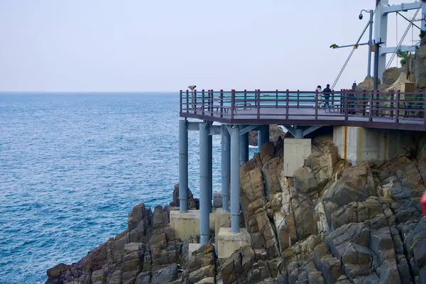 Samcheok City, Güney Kore - 28 Aralık 2023: Chogok Yonggul Mağara Yürüyüş Yolu, yüksek metal destekleri üzerinde yükseltilmiş, aşağı doğru uzanan kayalık kıyı şeridini geçer.