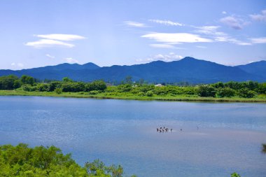 Gangneung Şehri, Güney Kore - 29 Temmuz 2019: Bisiklet yolundan Namdae Irmağı 'na bakan sakin sular, berrak mavi bir gökyüzünün altındaki görkemli dağlara doğru akar ve Gangneung Şehri' nde bir anlık huzur ve manzara güzelliği sunar..