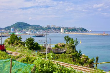 Donghae Şehri, Güney Kore - 28 Temmuz 2019: Bereketli yeşil bir yamaçtaki bir gözlem platformundan, gemilerin dalgakıranın arkasındaki sakin sularda dinlendiği Mukho limanının manzarası açık, güneşli bir su üzerinde görülebilir.