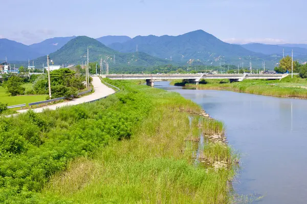 Goseong County Jižní Korea Července 2019 Klidný Munam Stream Teče — Stock fotografie
