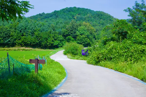 Goseong County Jižní Korea Července 2019 Klidná Cyklistická Stezka Vyznačená — Stock fotografie