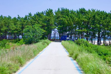 Goseong County, South Korea - July 30, 2019: A bike path, marked by blue lines, guides cyclists towards a lush group of trees and a fence topped with barbed wire along Banam Beach, offering a tranquil escape amidst nature. clipart