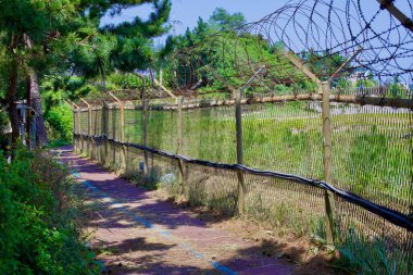 Goseong County, South Korea - July 30, 2019: A narrow bike path, marked with a blue line and adorned with scattered pine needles, runs alongside a chain-linked fence topped with barbed wire, adjacent to a green field, with pine trees forming a semi-c clipart
