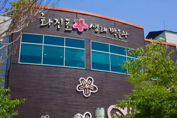Hrabstwo Goseong Korea Południowa Lipca 2019 Muzeum Ekologiczne Hwajinpo Naznaczone Obrazy Stockowe bez tantiem