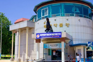 Goseong İlçesi, Güney Kore - 31 Temmuz 2019 Hwajinpo Deniz Müzesi 'nin, fok heykeli ile işaretlenmiş belirgin yuvarlak turu, Kore' nin deniz biyolojik çeşitliliğini araştırmaya davet ediyor..
