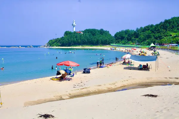 Hrabstwo Goseong Korea Południowa Lipca 2019 Południowe Spojrzenie Plaży Machajin Obrazy Stockowe bez tantiem