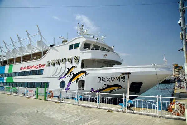 stock image Ulsan, South Korea - March 17th, 2024: A large three-story whale watching tour boat docked near the Jangsaengpo Whale Museum on a sunny day. Dolphins and whale sculptures adorn the sides, adding to the maritime charm.