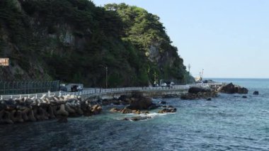 Gangneung Şehri, Güney Kore - 18 Mayıs 2024 Virajlı Heonhwa Yolu 'nda gezen arabaların ve karavanların statik görüntüleri. Güneş ışığı Doğu Denizi 'nde parlıyor ve kayalık yamaçtaki yeşil ağaçları aydınlatıyor. Suda çıplak, sarkık kayalar var..