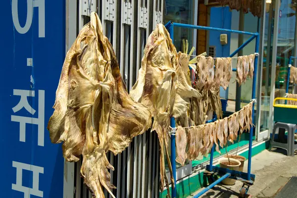 stock image Samcheok City, South Korea - May 18, 2024: Large skate and smaller squid drying in the sun outside a shop at Samcheok Port, representing the traditional seafood preservation methods and vibrant local market.