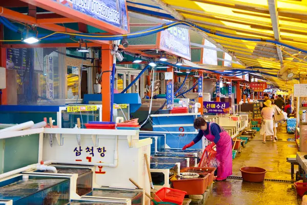 stock image Samcheok City, South Korea - May 18, 2024: Inside the bustling Samcheok Port Raw Fish Center, vendors attend to their tanks filled with live seafood, offering a variety of fresh marine products to locals and tourists.