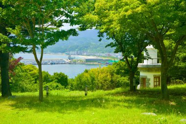 Uljin County, Güney Kore - 27 Temmuz 2024: Deunggi Dağ Parkı 'nda, ağaçların arasında duran ve Hupo Limanı ve çevresindeki dağları uzaktan gören ölçekli bir deniz feneri manzarası.