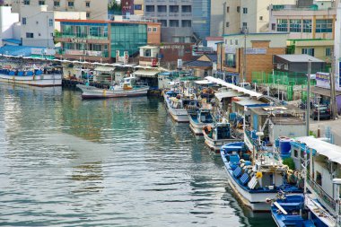 Sokcho, South Korea - July 28th, 2024: Rows of fishing boats lined up along the docks in Sokcho Harbor, with local seafood markets and buildings reflecting off the calm waters near Abai Village. clipart