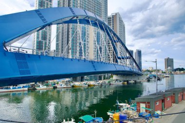 Sokcho, Güney Kore - 28 Temmuz 2024: Geumgang Grand Bridge 'in çarpıcı mavi kemeri Sokcho Limanı boyunca uzanır, arka planda yüksek binalar ve balıkçı tekneleri aşağıda kenetlenmiştir..