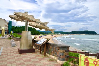 Goseong County, Güney Kore - 28 Temmuz 2024: Büyük balık heykelleri Hwajinpo Sahili boyunca gezinti alanlarını süslüyor, Doğu Denizi 'nin kumlu kıyılarına ve sakin dalgalarına bakarak bir sanat ve doğal güzellik karışımı oluşturuyor..