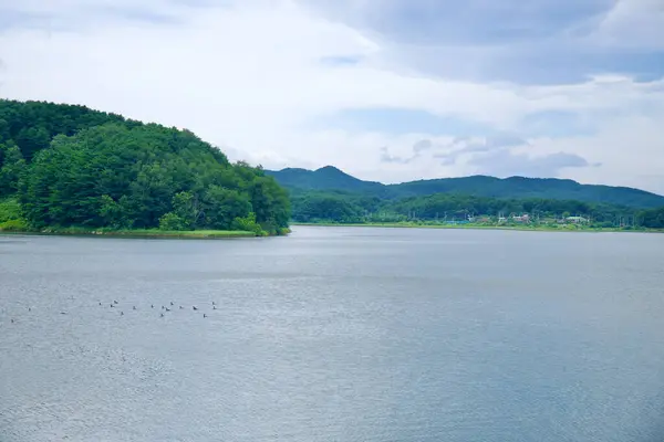 stock image Goseong County, South Korea - July 28th, 2024: A tranquil view of Hwajinpo Lake from the Hwajinpo Lake Bridge, with gentle ripples on the water and a small flock of birds, surrounded by lush green hills and distant mountains under a cloudy sky.