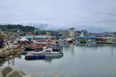 Goseong İlçesi, Güney Kore - 28 Temmuz 2024: Gyoam Limanı 'nın hareketli manzarası, sakin sular boyunca rıhtıma yanaşmış balıkçı tekneleri ve binalar, araçlar ve deniz faaliyetleriyle dolu canlı bir liman alanı,.