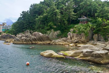 Goseong County, Güney Kore - 28 Temmuz 2024: Cheonhak Pavyonu, yoğun çam ağaçlarıyla çevrili kayalık bir uçurumun tepesine tünemiş, sakin sulara ve Gyoam Limanı yakınlarındaki engebeli kıyı şeridine bakıyor, doğal ortama uyum sağlıyor..