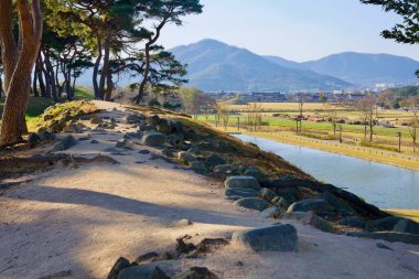 Gyeongju Şehri, Güney Kore - 11 Kasım 2023: Huzurlu su yoluna ve geniş Cheomseongdae Park alanlarına bakan kayalık bir yolu olan manzaralı bir tepe..