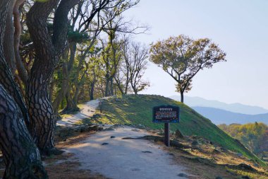 Gyeongju Şehri, Güney Kore - 11 Kasım 2023 Cheomseongdae Parkı 'nda tarihi bölge hakkında bilgilendirici bir işaretle birlikte huzurlu bir ormanlık yol esiyor. Manzaralı arka planda ağaçlar ve uzak dağlar var..