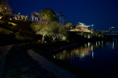 Ulsan, Güney Kore - 4 Mart 2020: Taehwaru Pavyonu gece aydınlandı, Taehwa Nehri 'nin nehir kıyısında görülüyordu, durgun sularda ve ağaçların oluşturduğu sakin yolda yansımalar vardı..