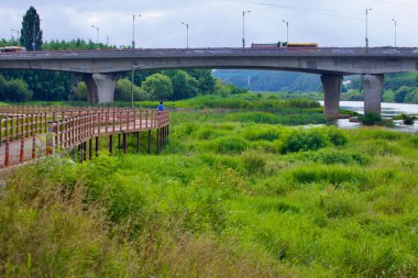 Ulsan, Güney Kore - 9 Temmuz 2019: Tahta bir köprü, arka planda kentsel ve doğal manzaraları harmanlayan bir yol köprüsü bulunan, Taehwa Nehri boyunca uzanan bereketli bataklık üzerine uzanır..