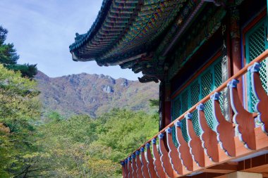 Ulsan, Güney Kore - 21 Ekim 2023: Canlı ahşap oymalar ve renkli saçakların yer aldığı Seoknamsa Tapınağı 'nın süslü giriş binasının ayrıntılı bir görüntüsü Sangunsan' ın sonbahar yamaçlarının zemininde yer almaktadır..