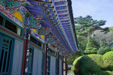 Ulsan, Güney Kore - 21 Ekim 2023: Seoknamsa Tapınağı 'nın renkli ve geleneksel saçağına dair ayrıntılı görüş, verimli yeşilliklere karşı canlı desenleri ve işçiliği vurguluyor..