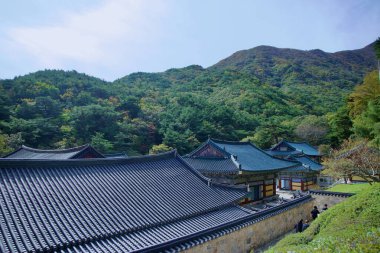 Ulsan, South Korea - October 21st, 2023: A serene view of Seoknamsa Temple's traditional Korean rooftops against a backdrop of lush, forested hills under a clear autumn sky. clipart