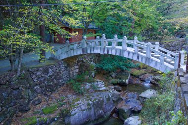 Ulsan, Güney Kore - 22 Ekim 2023: Geleneksel bir taş köprü Seoknamsa Tapınağı yakınlarındaki Seoknamsa Vadisi 'nde yemyeşil ve doğal kaya oluşumlarıyla çevrili sakin bir dere boyunca uzanır..