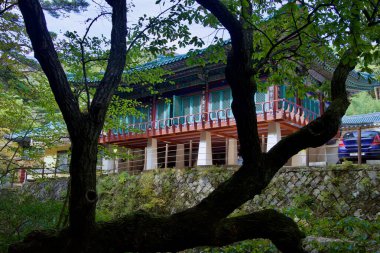 Ulsan, Güney Kore - 22 Ekim 2023 Seoknamsa Tapınağı 'nın giriş binası, ağaç dalları tarafından kısmen gizlenmiş, geleneksel Kore mimarisini sergiliyor. Kültürel miras ile harmanlanan huzurlu bir doğa..