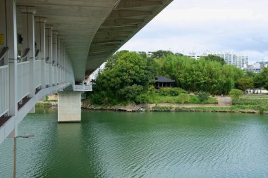 Ulsan, Güney Kore - 5 Ekim 2024: Taehwa Nehri üzerinde uzanan cam panelli yaya geçidinden bir manzara. Arka planda Taehwa Nehri Ulusal Bahçesi ve yemyeşil bambu korusu görülebilir..