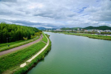 Ulsan, Güney Kore - 5 Ekim 2024 Taehwagang Nehri 'nin nehrin yukarısına bambu ormanlarıyla kaplı bir yol. Ulsan ve çevresindeki tepelerin manzarası uzaktan görülebiliyor..