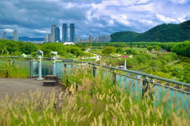 Ulsan, Güney Kore - 5 Ekim 2024: Taehwa Nehri Ulusal Bahçesi yönetim binasının tepesinden dürbünler ve şehir gökdelenleri ve tepeleri tarafından çerçevelenmiş yemyeşil bahçelerle manzaralı bir manzara.