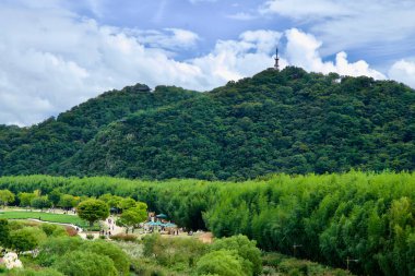 Ulsan, Güney Kore - 5 Ekim 2024: Namsan Dağı, Taehwa Nehri Ulusal Bahçesi 'nin yemyeşil tepesinde duruyor ve geleneksel bir pavyon, parçalı bulutlu bir gökyüzünün altındaki zirvede görülüyor..