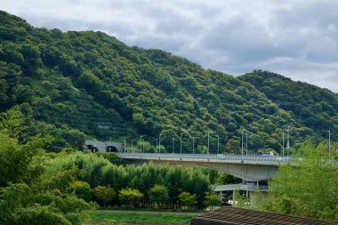 Ulsan, Güney Kore - 5 Ekim 2024: Ulusal Bahçe Köprüsü, Taehwa Nehri Ulusal Bahçesi yakınlarındaki yoğun yeşillik ve bambularla çevrili bir orman dağı boyunca uzanan bir tünele doğru uzanır..