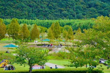 Ulsan, Güney Kore - 5 Ekim 2024: İnsanlar yemyeşil ve canlı sonbahar yapraklarıyla çevrili Taehwa Nehri Ulusal Bahçesi 'nin manzaralı güzelliği arasında çadırlarda dinleniyor ve çadırlar kuruyorlar..