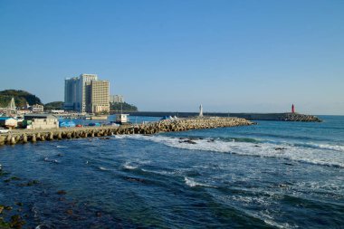Doğu Denizi 'ne ve yakınlarındaki modern binalara karşı kurulmuş ikonik dalgakıranları ve deniz fenerleriyle Daepo Limanı' ndaki yarı dairesel liman manzarası..