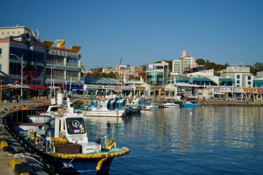 Sokcho, Güney Kore - 3 Kasım 2024: Daepo Limanı 'nın rıhtımı, yemyeşil bir yamaçta kurulmuş bir dizi dükkan ve deniz ürünleri pazarını gözler önüne seriyor..