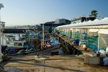 A bustling scene at Seorak Port with traditional fishing boats docked alongside market stalls where local fishermen sell fresh seafood, embodying the ports vibrant maritime culture. clipart